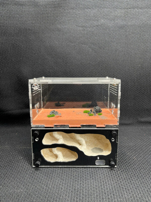 Cave type Medium