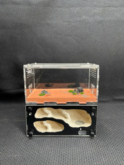 Cave type Medium