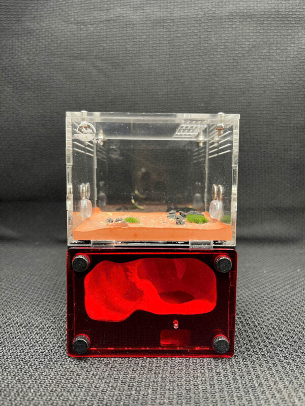 Cube Stackable with Light