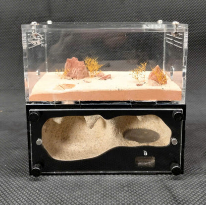 Cave type Small
